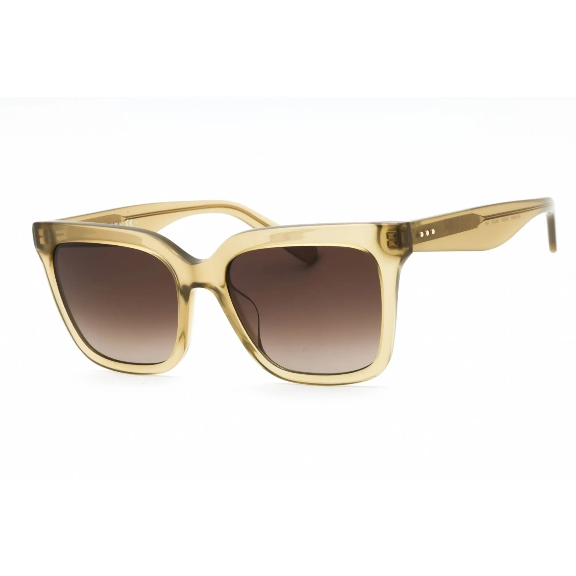 Banana Republic Women's Sunglasses - Crystal Green Plastic Frame | BR 3006/S 00OX HA
