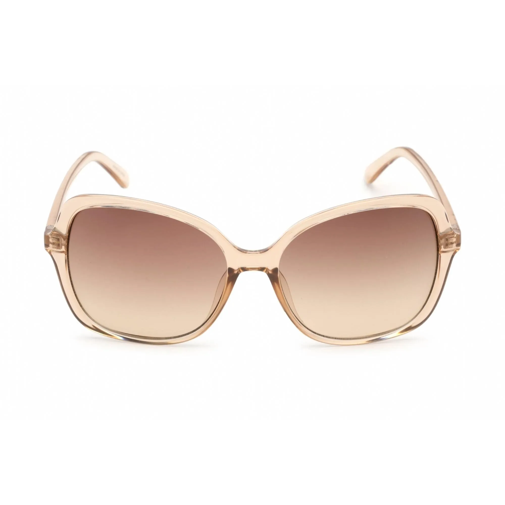 Calvin Klein Retail Women's Sunglasses - Butterfly Brown Gradient Lens | CK19561S 270