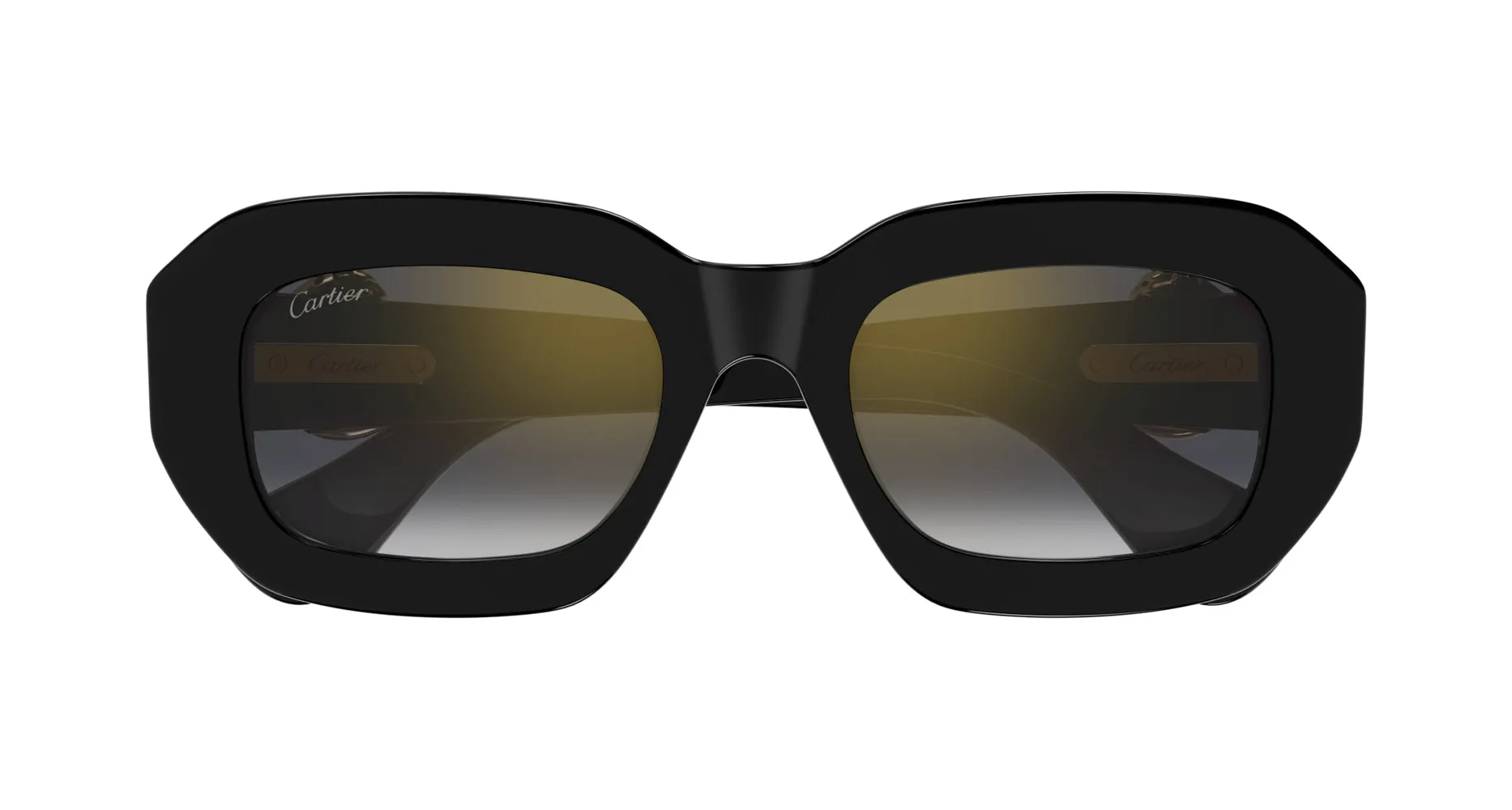 Cartier CT0546S