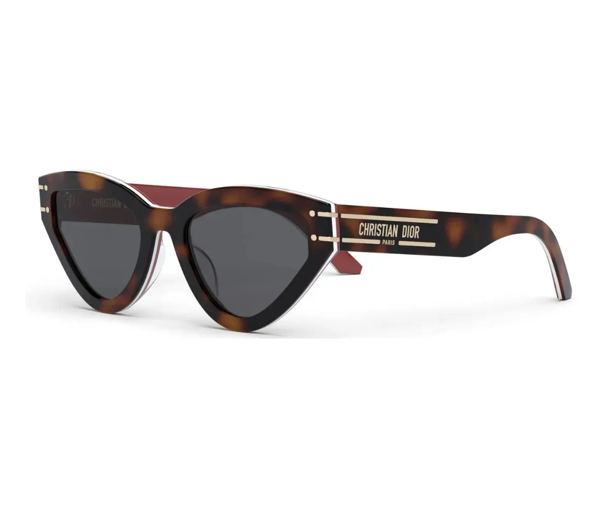 DIORSIGNATURE B2U 40066U 26A0 53