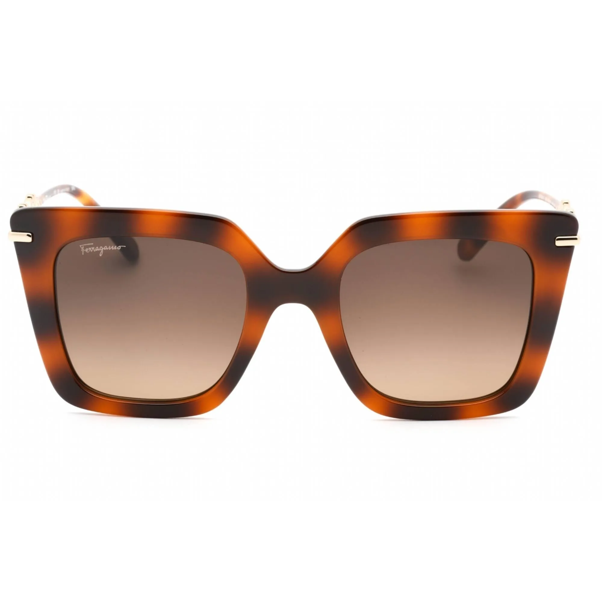 Salvatore Ferragamo Women's Sunglasses - Classic Havana Acetate Frame | SF1041S 238