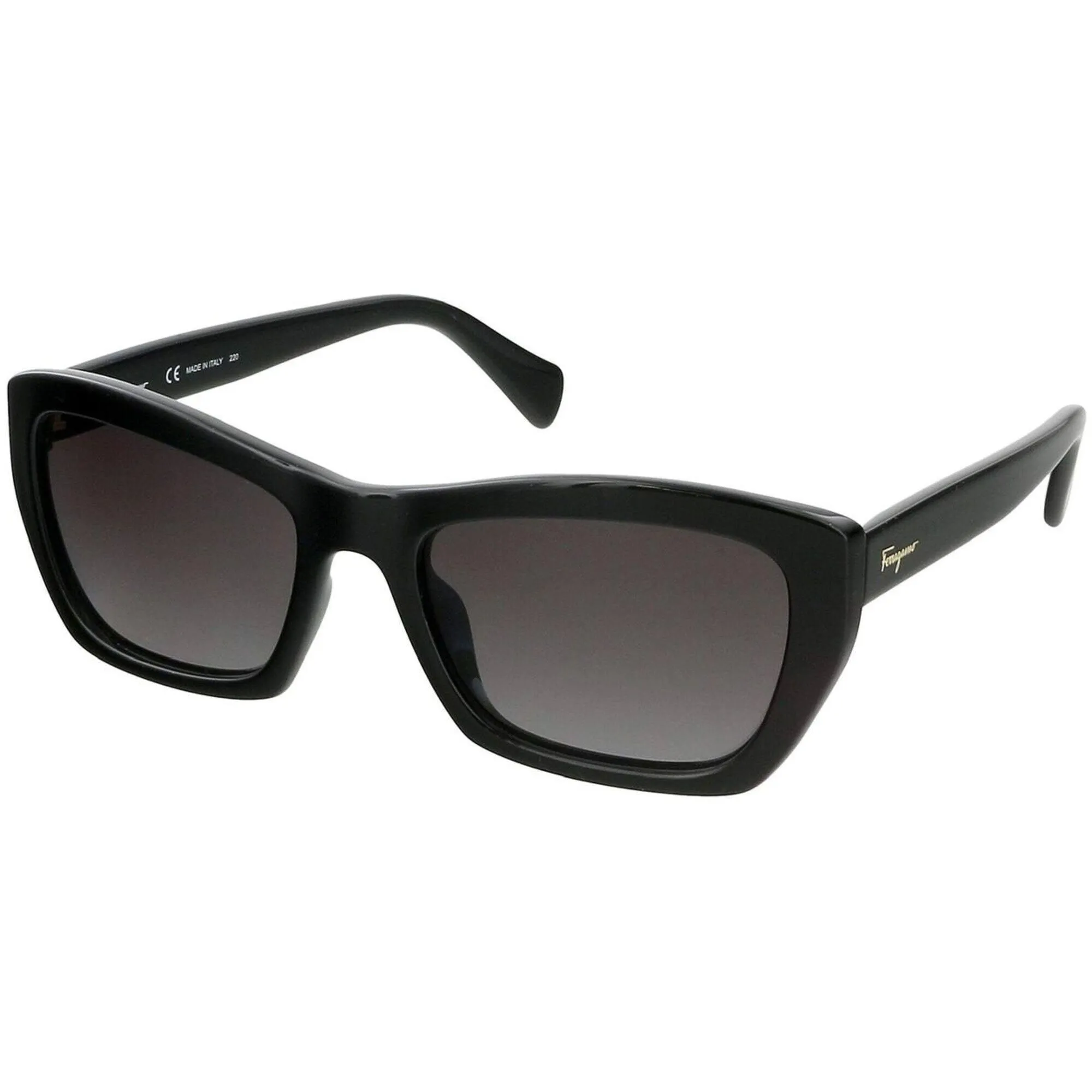 Salvatore Ferragamo Women's Sunglasses - Full Rim Frame | SALVATORE FERRAGAMO958S 1