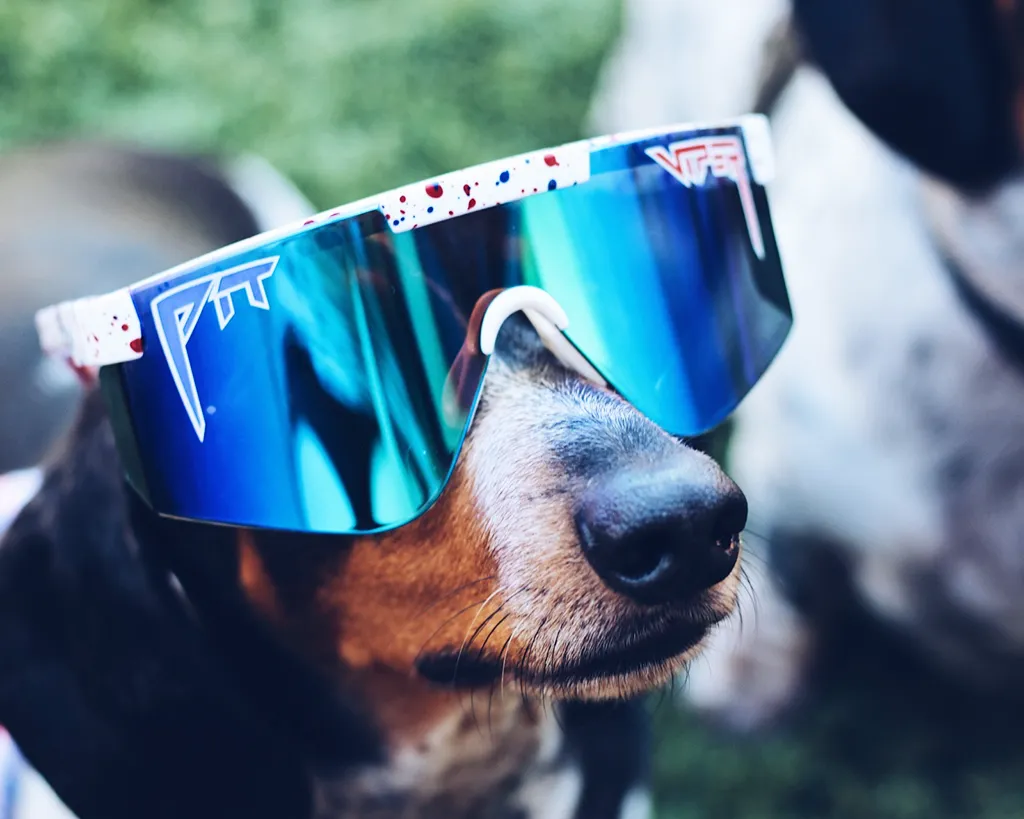 The 2000's - The Merika Z87  Sunglasses